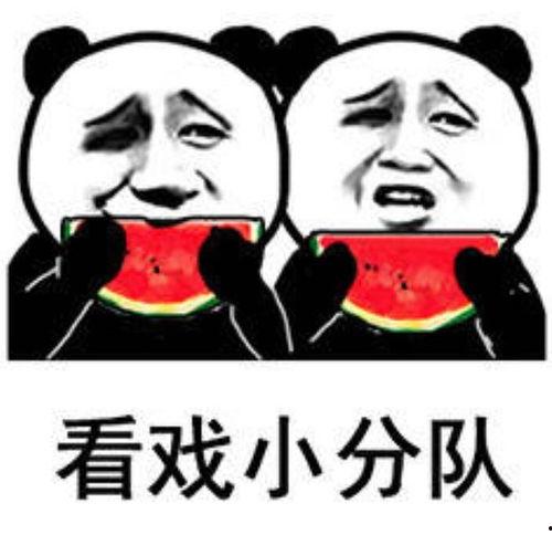 吃瓜群众 瓜圈,网络舆论场中的趣味与争议