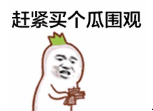 捂脸猪头吃瓜群众,趣味横生的社会现象解析