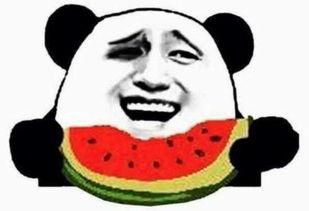 吃瓜群众握爪白眼,揭秘网络舆论场的众生相