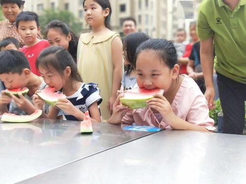 吃瓜群众PK老爷爷,吃瓜群众与老爷爷的智慧对决