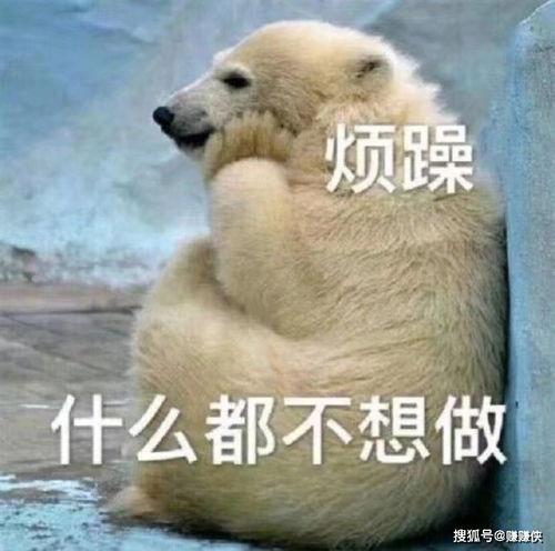 吃瓜群众委屈图片大全,那些让人心疼的图片故事