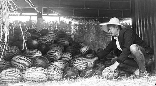 吃瓜群众叹为观止,揭秘娱乐圈惊人幕后故事