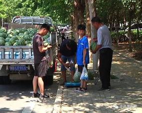 吃瓜群众看疫情图片真实,真实图片揭示社会百态