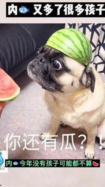 我还只是个孩子吃瓜群众,纯真视角下的社会百态