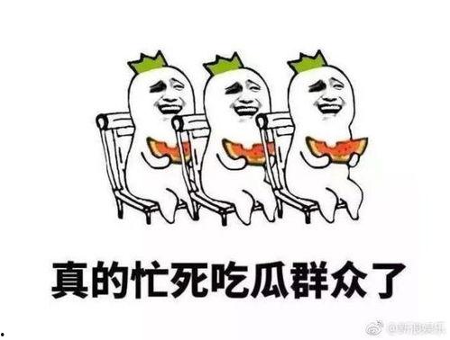 吃瓜群众很快活,快乐源泉的日常