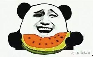 吃瓜群众胖奇麻( ),揭秘娱乐圈那些事儿