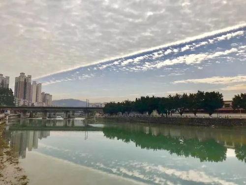 韶关吃瓜群众,揭秘当地美食风云录