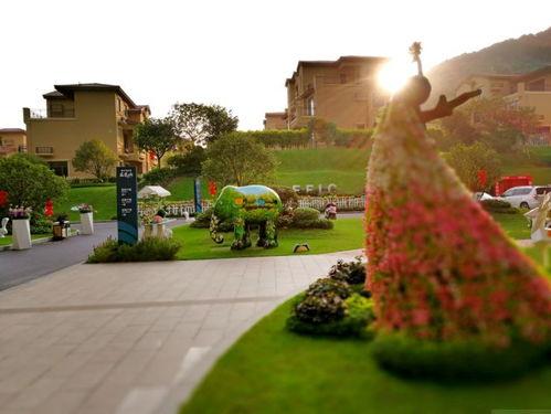 韶关吃瓜群众,揭秘当地美食风云录