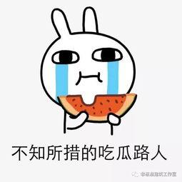 ok吃瓜群众,OK吃瓜群众背后的故事