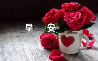 吃瓜群众比心玫瑰咖啡,玫瑰咖啡浪漫邂逅