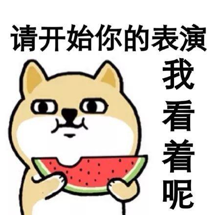 吃瓜群众的瓜扔了,吃瓜群众瓜扔背后的真相揭秘