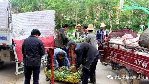 武生院事件吃瓜群众,网络热议背后的真相与反思