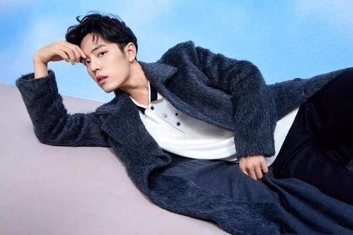 肖战你是吃瓜群众吗,吃瓜群众视角下的娱乐圈风云